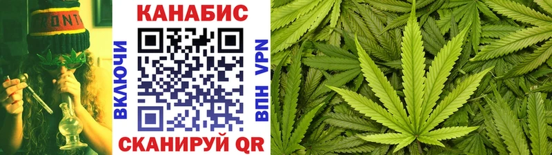 Где продают наркотики Питкяранта Бошки Шишки  СК  Псилоцибиновые грибы  Меф мяу мяу 
