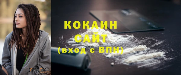 тгк Алзамай