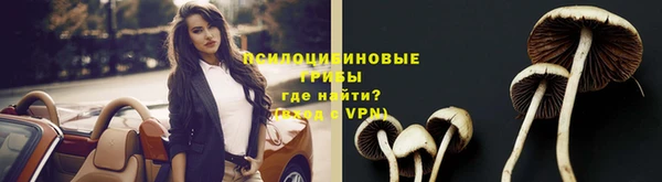 тгк Алзамай