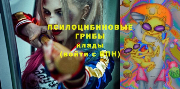 ГАЛЛЮЦИНОГЕННЫЕ ГРИБЫ Алексеевка