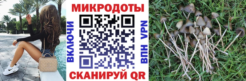даркнет клад  Питкяранта  Галлюциногенные грибы мухоморы  цены  